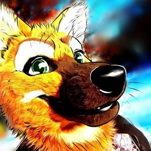 Meet your Posher, Eli